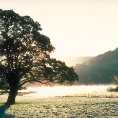 Rydal Frost