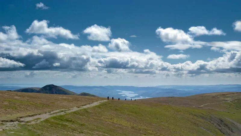 high-street High Street